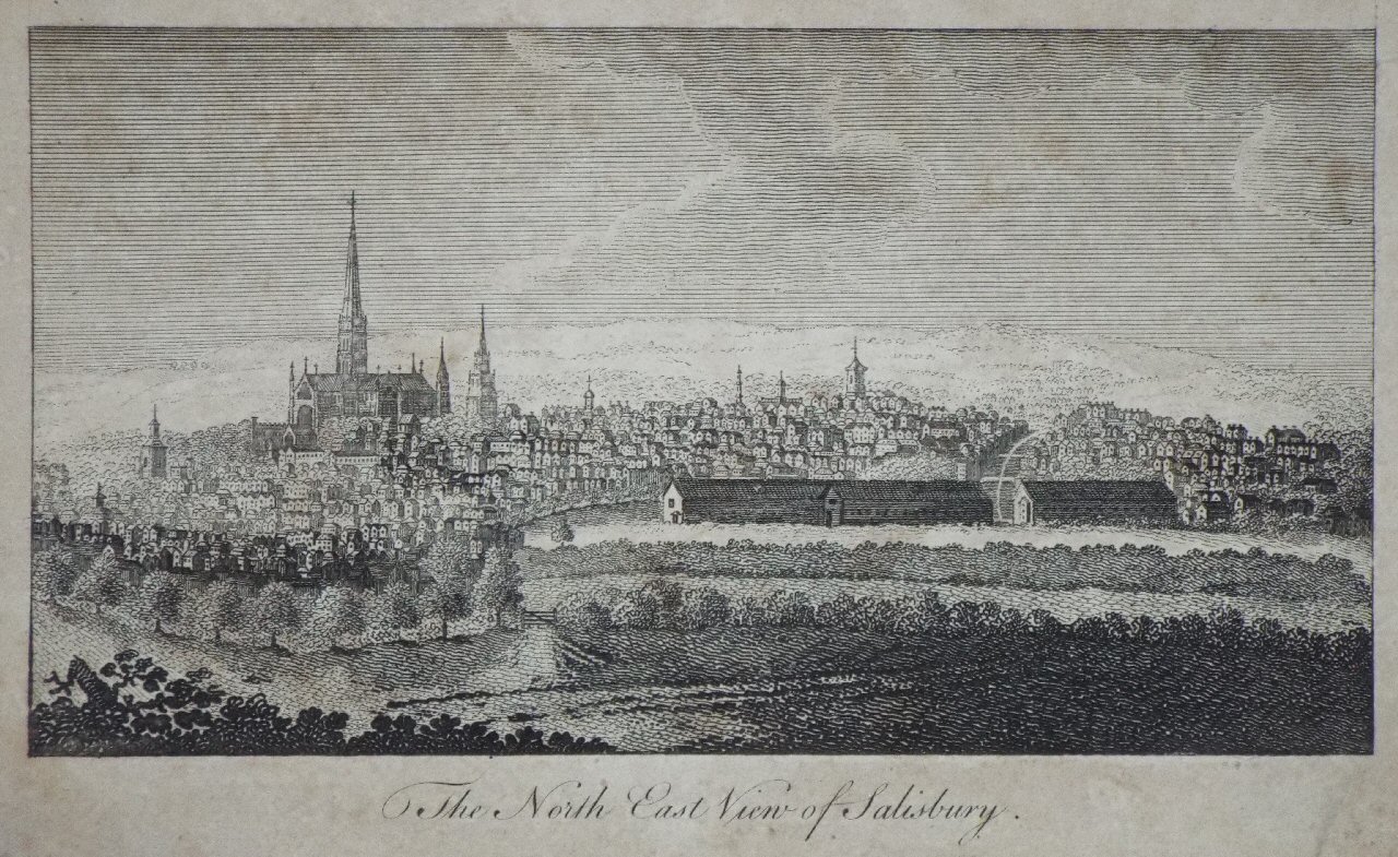 Print - The North East View of Salisbury.